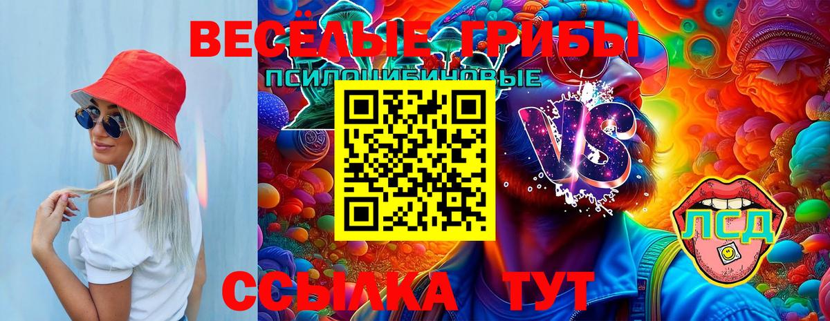 Псилоцибиновые грибы Psilocybine cubensis Дедовск