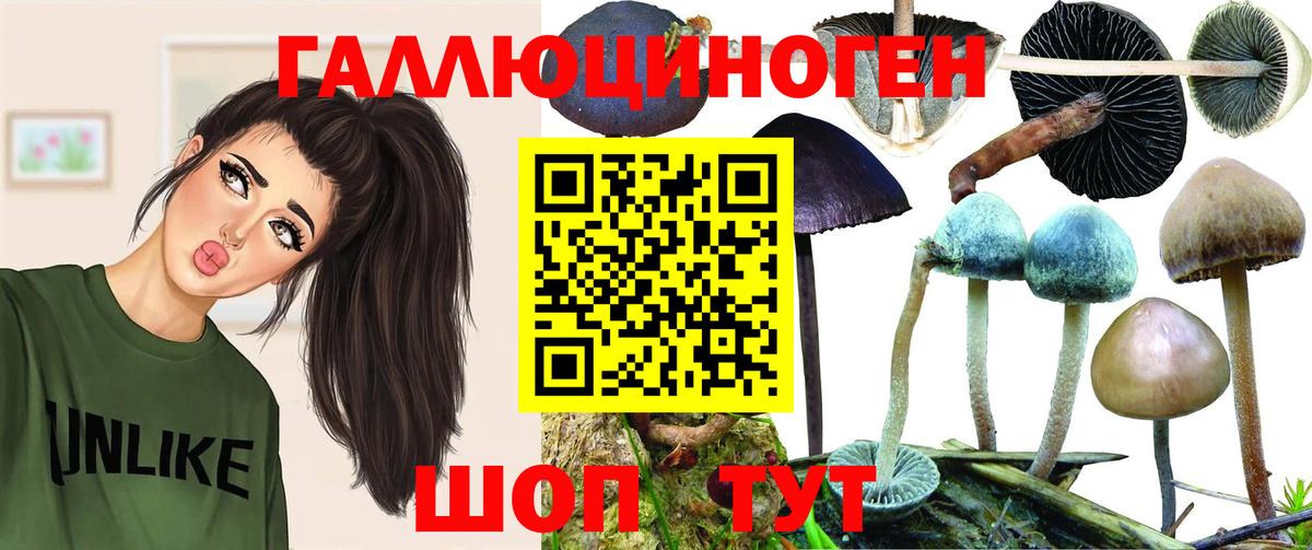 Дедовск  Псилоцибиновые грибы MAGIC MUSHROOMS  Вход с VPN 